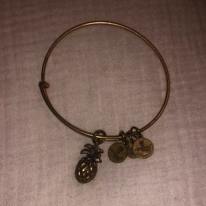Pineapple Alex and Ani gold